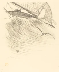 mořské vlaštovky