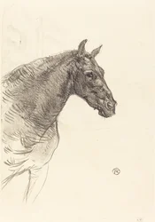 Starý kůň Starý kůň, 1897.