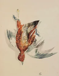 Červená řeka, kolem 1877-80