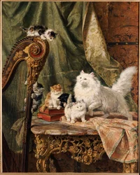 Hudební mezihra, 1897