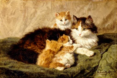 Spokojenost, 1900