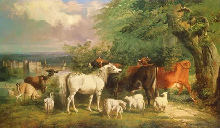 Haddon Hall s ovcemi, dobytkem, jelenem a poníkem