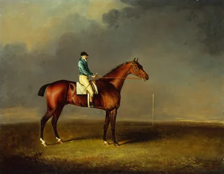 Jeho královská Výsost princ z Walesu, hnědý dostihový kůň Sir David po Trumpatorovi s Chifneyem, na závodišti Newmarket Heath