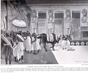 Cambyses zabíjí posvátného býka, ilustrace z „Hutchinsonovy historie národů“, kolem roku 1910