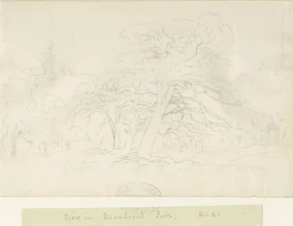 Beaudesert Park: kresba tužkou, nd [1788-1855]
