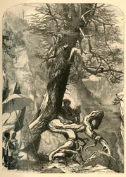 „Nad přírodním mostem“, 1872.