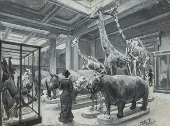 Vnitřní pohled na Britské muzeum s galerií s exponáty zvířat, kolem roku 1880