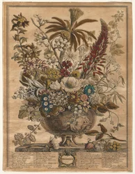 Dvanáct měsíců květů: prosinec 1730.
