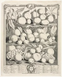 Dvanáct měsíců ovoce: srpen 1732.