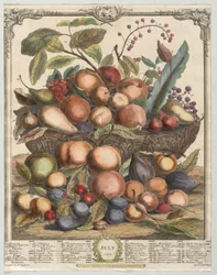 Dvanáct měsíců ovoce: červenec 1732.