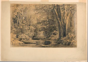Kresba, Potok v lese, 1854