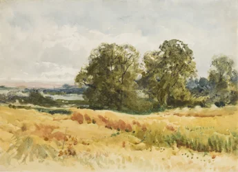 Harvest field, cca 1910 (akvarel na papíře)