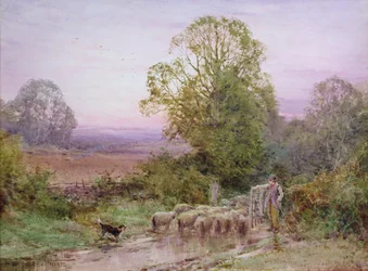 Pasení ovcí (akvarel)