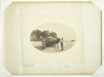 Na svazích Cader-Idris, Poslední náklad sena, 1883.