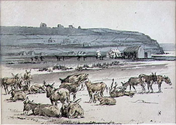 Oslíci na golfovém hřišti, ilustrace z časopisu Graphic, vyd. cca 1870 (litografie)