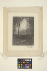 V Adirondacks (inkoust)