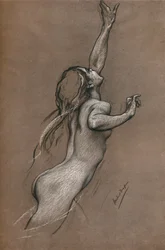 Studie létajících ryb, kolem roku 1910