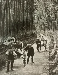 Bamboo Avenue v Kjótu, 1910.