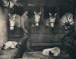 Kapitán Oates, na Terra Nova se sibiřskými poníky, c1911, 1914.