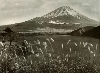 Fuji a Kaia Grass, 1910.