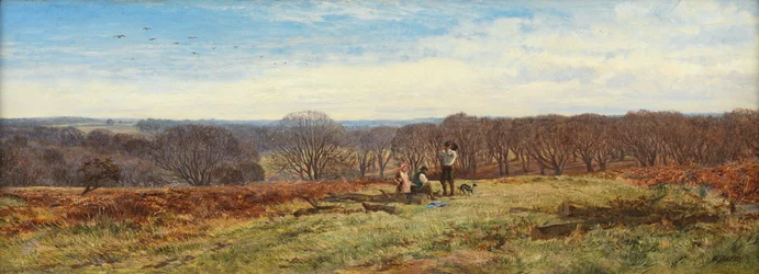 V New Forest, Hampshire