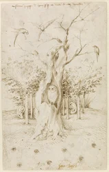 Dřevo má uši, pole má oči par Bosch, Hieronymus (asi 1450-1516). Pero, hnědá tuš na papíře, rozměr : 20,2x12,7, ca. 1500-1515, Staatliche Museen, Berlín