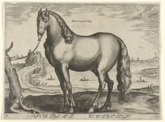 Kůň z Bretaně (Brittanus) Britannvs (název na objektu) Plemena koní z královské stáje Dona Juana z Rakouska (název seriálu) Equile Ioannis Austriaci Caroli (název série)