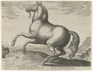 Kůň z Francie (Gallicus) Gallicvs (název na objektu) Plemena koní z královské stáje Dona Juana z Rakouska (název seriálu) Equile Ioannis Austriaci Caroli (název série)