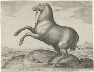 Kůň ze Skythie Cimber (název na objektu) Plemena koní z královské stáje Dona Juana z Rakouska (název seriálu) Equile Ioannis Austriaci Caroli (název série)