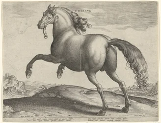 Kůň ze Španělska (Hispanus Alter) Hispanvs (název na objektu) Plemena koní z královské stáje Dona Juana z Rakouska (název seriálu) Equile Ioannis Austriaci Caroli (název série)