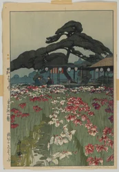 Iris Garden v Horikiri, ze série, Dvanáct scén Tokia, éra Showa