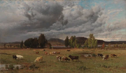 Pastviny v Häme