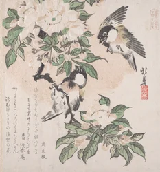 Spring Rain Collection Harusame shu, sv. 3: Sýkorky bahenní a květy krabího jablka, ca. ..., ca. 1820.