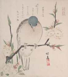 Spring Rain Collection Harusame shu, sv. 3: Mountain Dove and Peach Flowers, ca. 1820, ca. 1820.