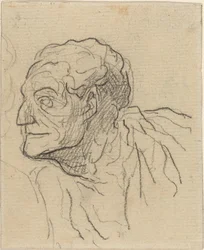 Studie člověka
