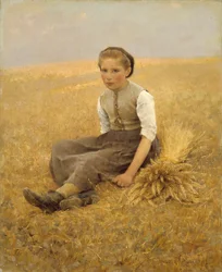 Malý sběrač, 1884