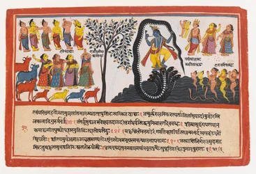 Krišna dobývá hada Káliju, stránka ze série Dispersed Bhagavata Purana Series, cca 1775 (neprůhledné wc a zlato na papíře)
