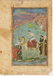 Majnun na velbloudovi