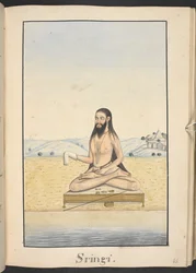 Mudrc, Sringi