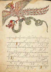 Létající tvor nesoucí hada, ilustrace z 