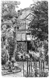 Zahrada, c1880-1882