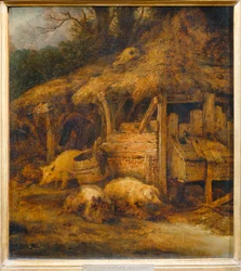 Le Toit à porcs ...