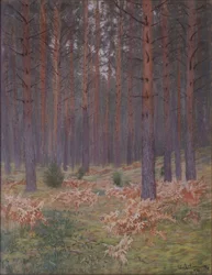 Kapradiny, 1894
