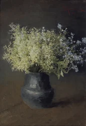 Plané fialky a pomněnky, 1889