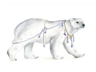 Královská polární majestátnost