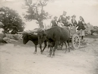 Rodina na voze taženém voly, Sardinie, Itálie, cca 1910