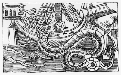 Mořský had, z „Historie severních národů“ od Olause Magnuse (1490-1557), vydané v Římě, 1555