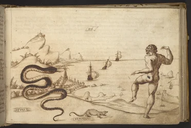 Přidat. 82955, f.115 had (
