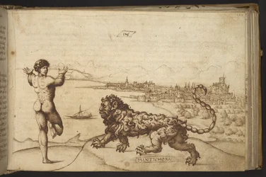 Přidat. 82955, f.124 Lidská postava a stvoření (