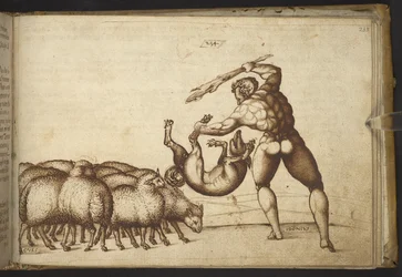 Přidat. 82955, f.233 Ovce (